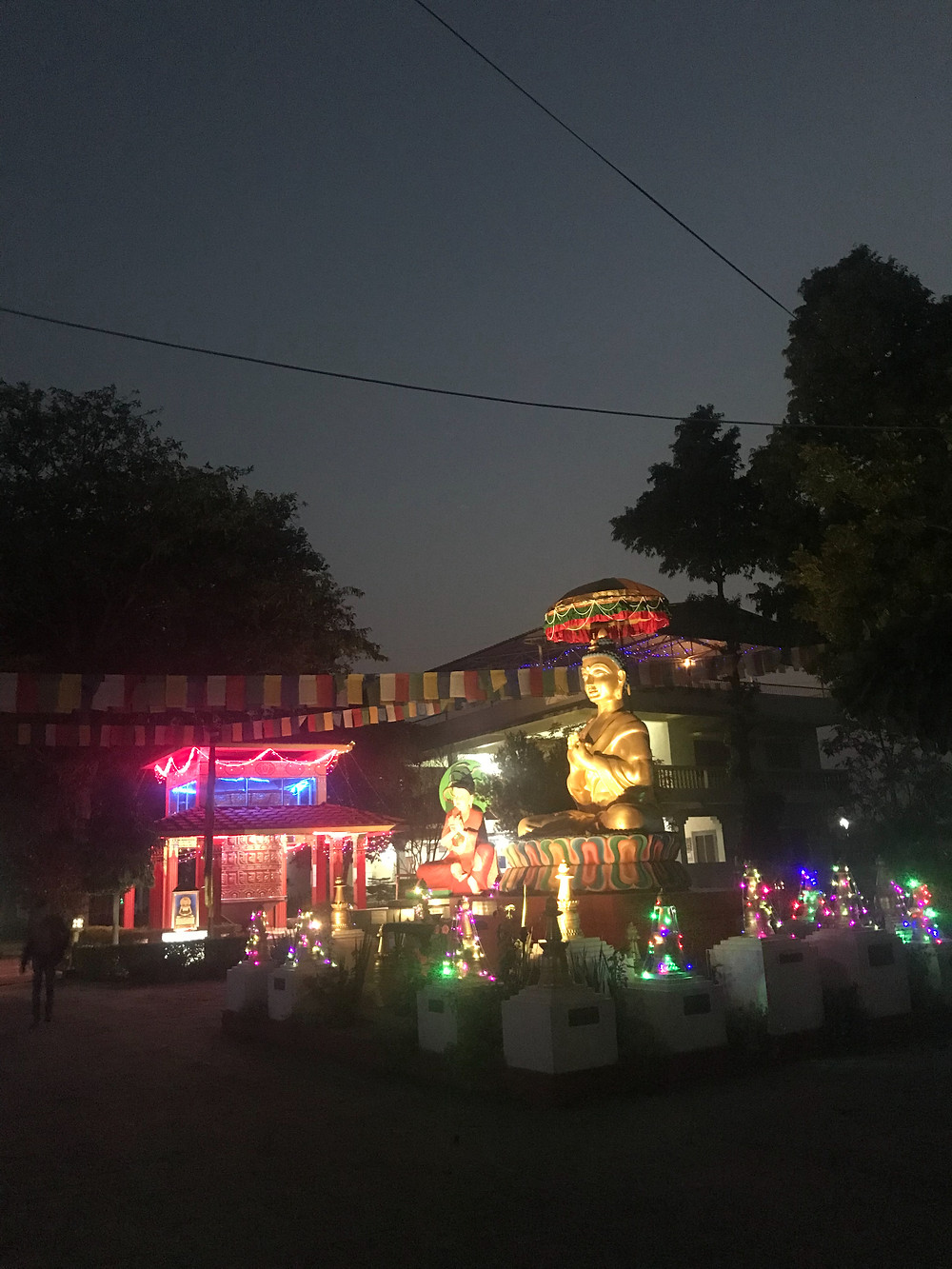 Root Institute, Bodhgaya, India, Buddha