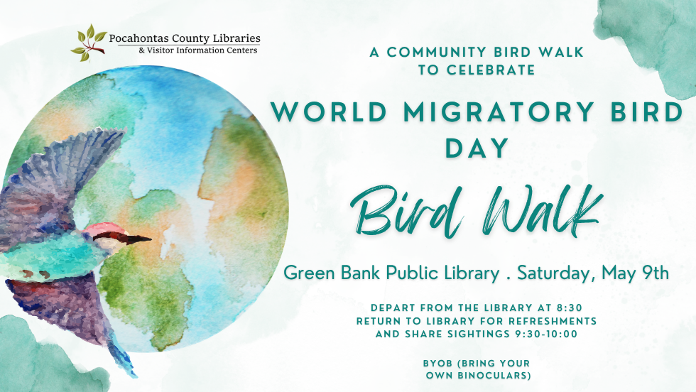 World Migratory Bird Walk