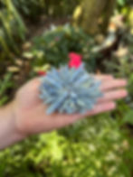 incensário cianita azul