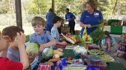 Childrens' Farmer Market