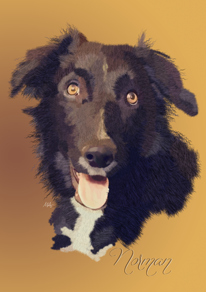 norman.png