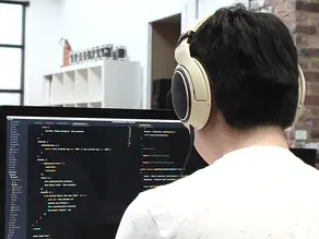The EyesOnIt Large Vision Model REST API