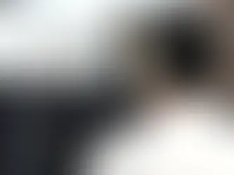 The EyesOnIt Large Vision Model REST API