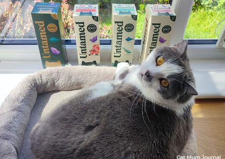 Cat lying in a window next to boxes of Untamed Cat Food.
