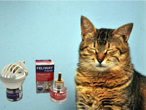Cat calming plug-in pheromone diffusers.