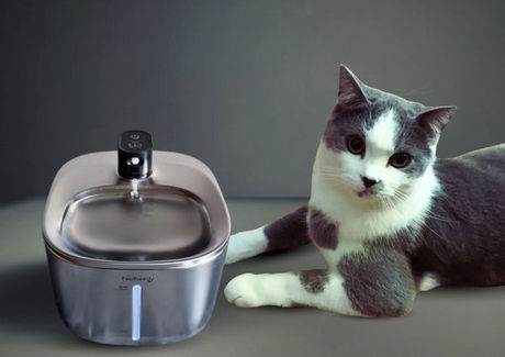 Stainless Steel Cat Water Fountain Reviews (Tried and Tested)