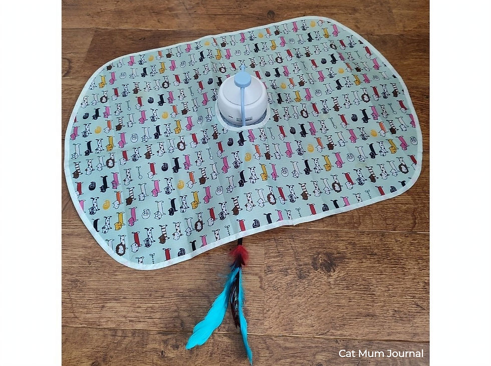 Interactive 3 in 1 cat toy with teaser from Amazon,