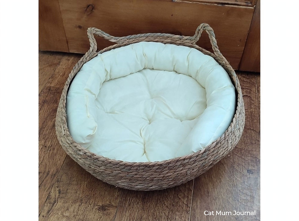 Cat wicker basket bed from Amazon or AliExpress.