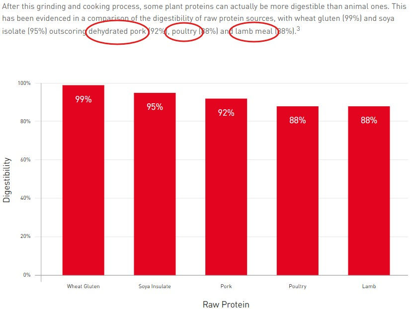 Bar chart shows digestibility of raw proteins: Wheat Gluten 99%, Soya Isolate 95%, Pork 92%, Poultry 88%, Lamb 88%. Red bars, white background.