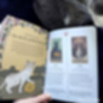 Cats Rule the Earth Tarot guidebook.