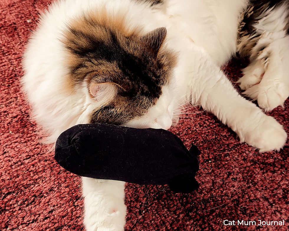 Cat playing with a silvervine toy.