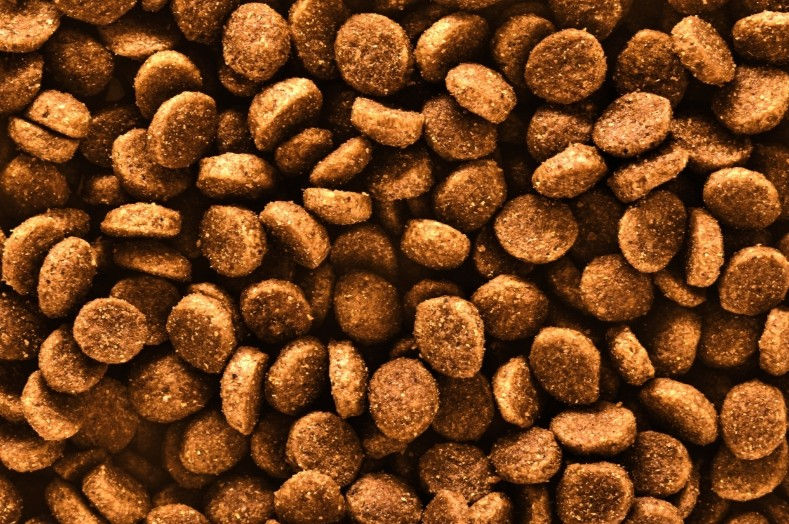 Cat kibble.