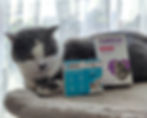 A cat rests beside two calming cat supplement boxes, YUMOVE and Zylkene.