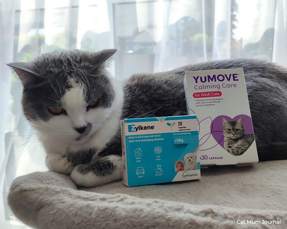 A cat rests beside two calming cat supplement boxes, YUMOVE and Zylkene.