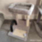 Petepela gray cat tree with a plush top bed, scratching post, and play balls in a carpeted room.