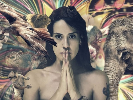 How to Communicate with Animals Using Telepathy: The Basics (Part 2)