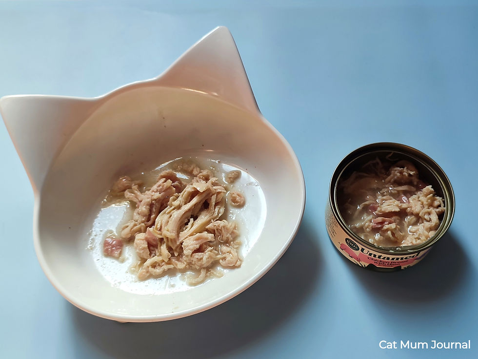 Cat-shaped bowl and Untamed tin with shredded wet cat food on a blue surface.