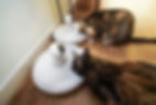 Automatic microchip cat feeders.