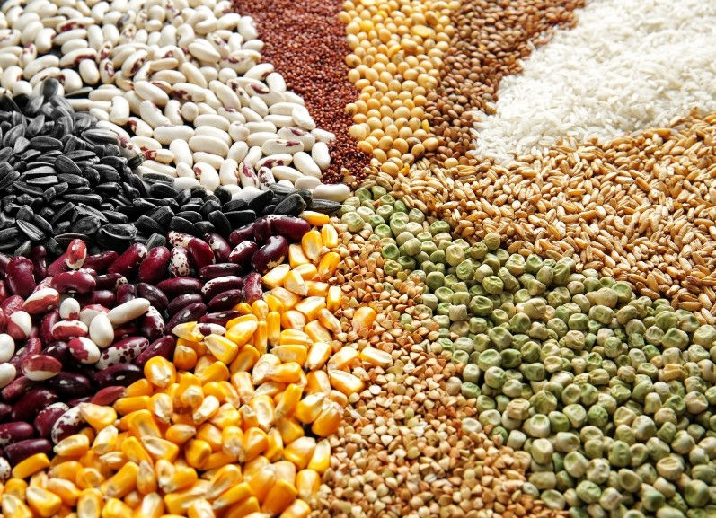 An array of assorted grains and seeds, including corn, beans, peas, and rice.