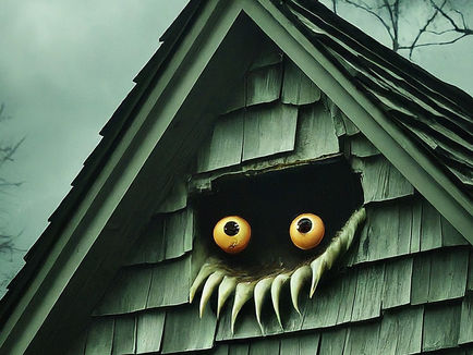 Shingle Shockers: When Your Roof Gets Weird