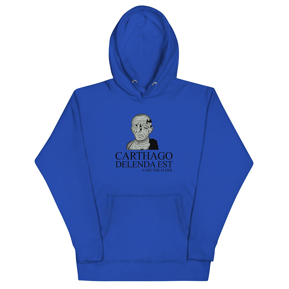 Carthago Delenda Est - Premium Unisex Hoodie