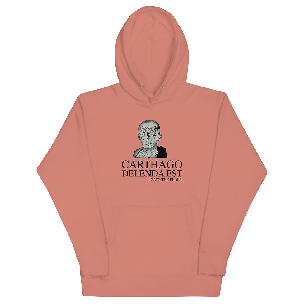 Carthago Delenda Est - Premium Unisex Hoodie