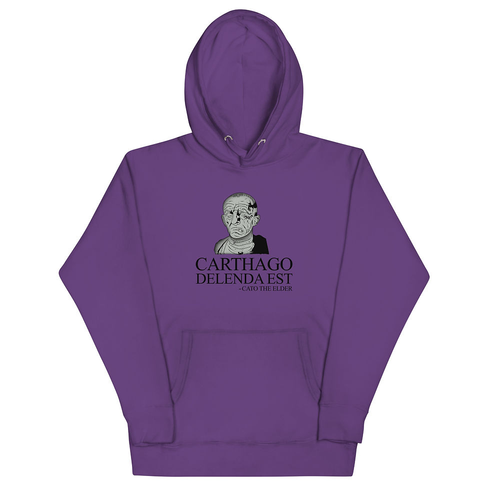 Carthago Delenda Est - Premium Unisex Hoodie