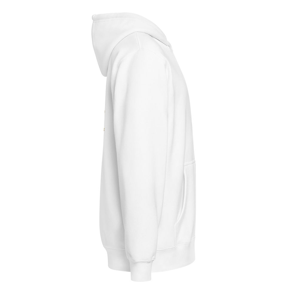Thumbnail: Legio X Equestris J. Caesar's Favourite Legion - Premium full zip hoodie