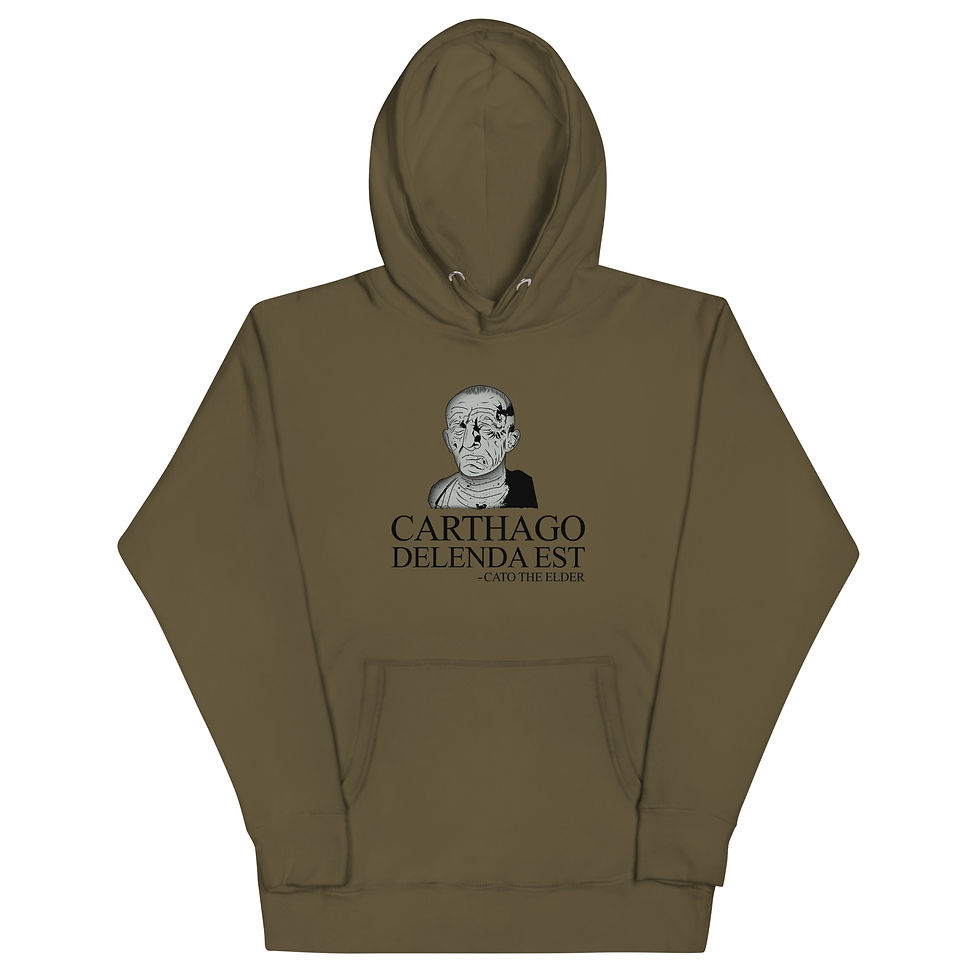 Carthago Delenda Est - Premium Unisex Hoodie