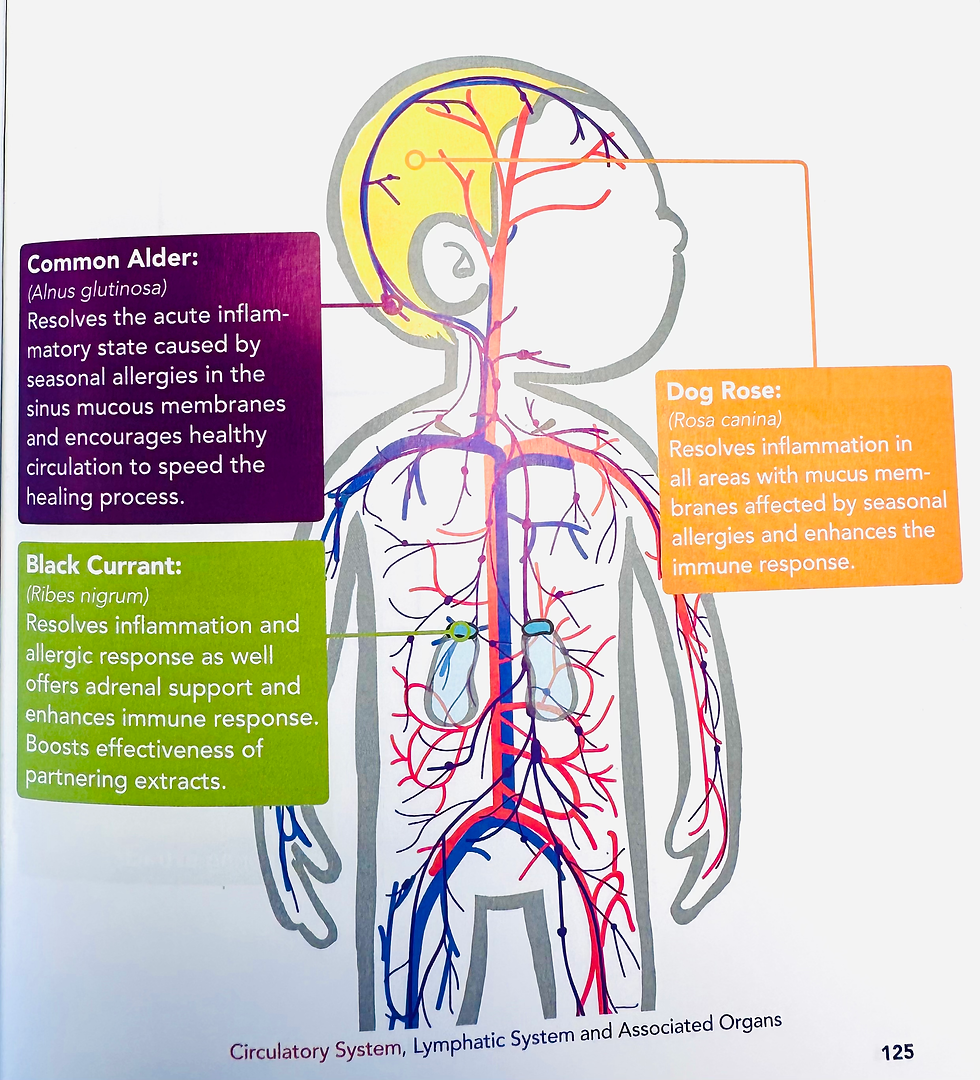 Lauren Hubele. Gemmotherapy for Everyone. Building Immunity in Babies & Young Children, p. 125.