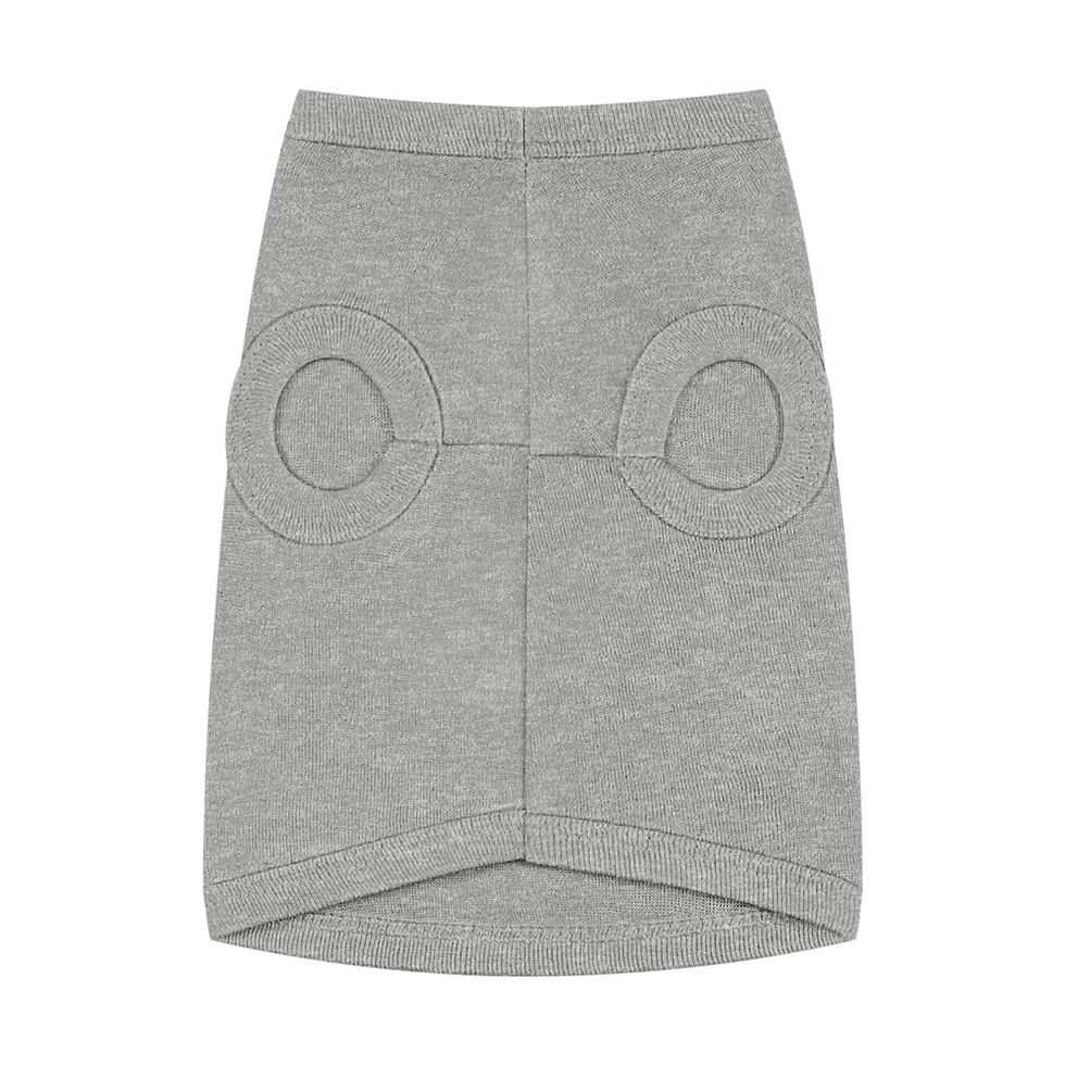 Thumbnail: Don't Blow My Cover — I'm a Poodle in the Witness Protection Program Pet Tank