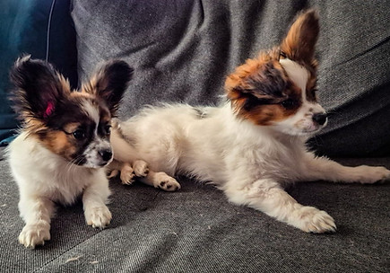 20260402_Bianca und Bjame.jpeg