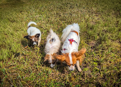 20260401 Bianca Bjame und Aurora.jpeg