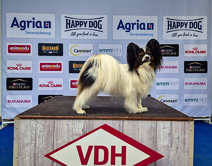 20260510_Ferox auf der Dogs & Fun in Dortmund.jpeg