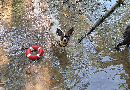 20260626_Bianca mit Rettungsring.jpeg