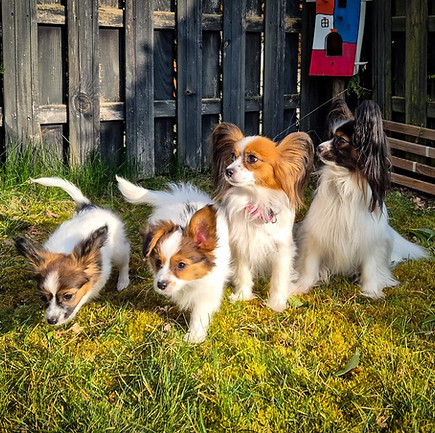 20260402 Familienfoto.jpeg