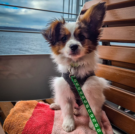 20260331_Bjame Fähre.jpeg