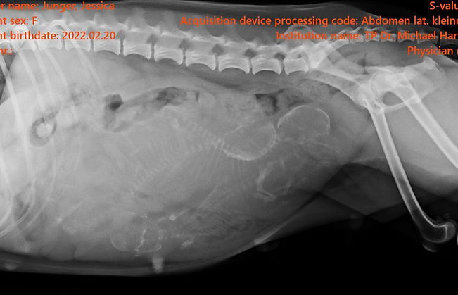 20260102_Röntgen.jpeg