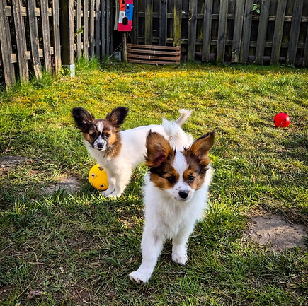 20260402_Bianca und Bjame 2.jpeg