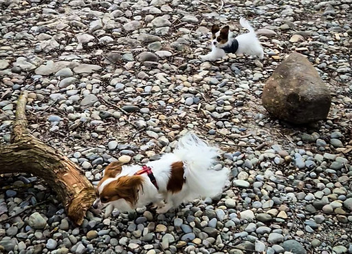 20260329_Bjame und Aurora.jpeg