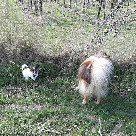 20260324_Bianca mit Gino.jpeg