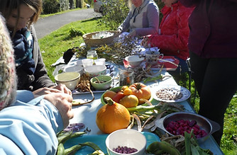 Formation potager 1.jpg