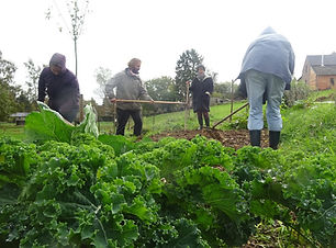 Formation potager 09.jpg