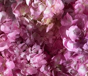 Harlow Floral Perth Florist Weddings Events Daily Deliveries Anne has been working with flowers for the past 25 years and was blessed to work with many lovely couples. harlow floral perth florist weddings