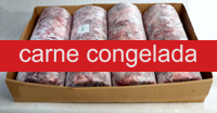 carne_original