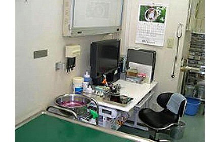 一般診療