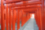 赤い鳥居