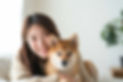 犬と遊ぶ女性