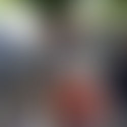 Budding Fruit for 2026  