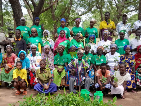 2,150 trees for Chera